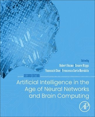 Artificial Intelligence in the Age of Neural Networks and Brain Computing 1
