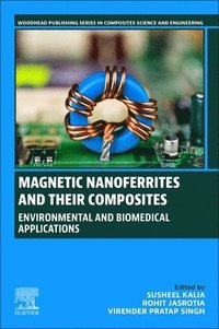 bokomslag Magnetic Nanoferrites and their Composites