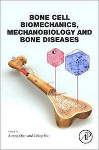 bokomslag Bone Cell Biomechanics, Mechanobiology and Bone Diseases