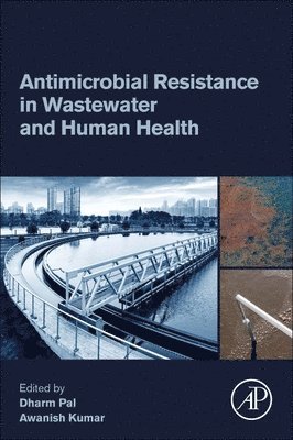 Dharm Pal, Awanish Kumar - Antimicrobial Resistance in Wastewater and Human Health, Häftad