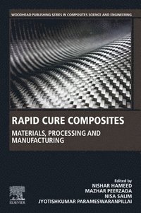 bokomslag Rapid Cure Composites
