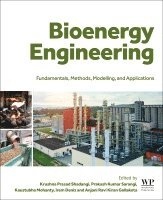Krushna Prasad Shadangi, Prakash Kumar Sarangi, Kaustubha Mohanty, Irem Deniz, Anjani Ravi Kiran Gollakota - Bioenergy Engineering, Häftad