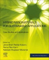 Janardhan Reddy Koduru, Rama Rao Karri, Nabisab Mujawar Mubarak - Hybrid Nanomaterials for Sustainable Applications, Häftad