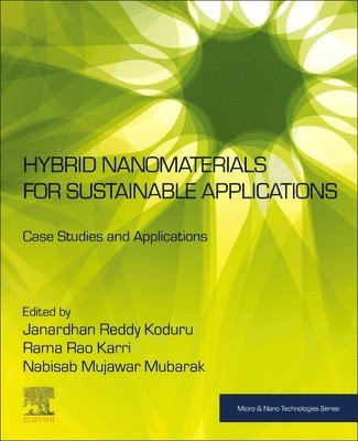 bokomslag Hybrid Nanomaterials for Sustainable Applications