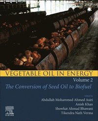 bokomslag Vegetable Oil in Energy, Volume 2
