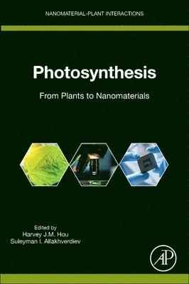 bokomslag Photosynthesis