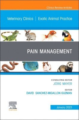 bokomslag Pain Management, An Issue of Veterinary Clinics of North America: Exotic Animal Practice