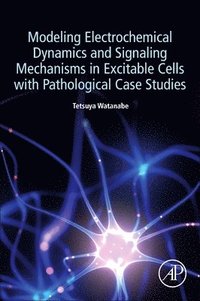 bokomslag Modeling Electrochemical Dynamics and Signaling Mechanisms in Excitable Cells with Pathological Case Studies