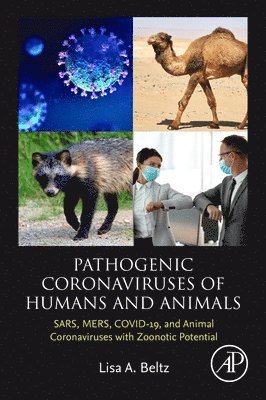 Pathogenic Coronaviruses of Humans and Animals 1