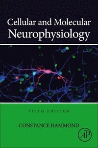 bokomslag Cellular and Molecular Neurophysiology