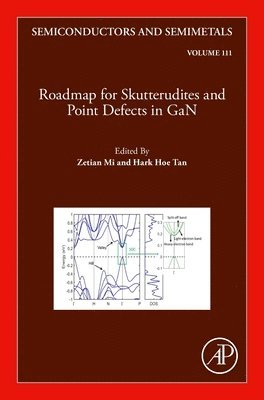 Zetian Mi, Hark Hoe Tan - Roadmap for Skutterudites and Point Defects in GaN, Inbunden