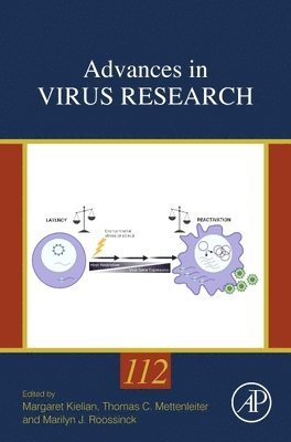 bokomslag Advances in Virus Research
