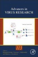 bokomslag Advances in Virus Research