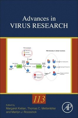 bokomslag Advances in Virus Research