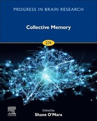 bokomslag Collective Memory