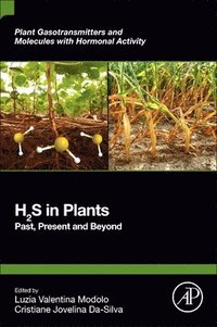 bokomslag H2S in Plants
