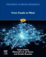 Tanya Calvey, Alexandra de Sousa - From Fossils to Mind, Inbunden
