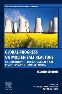 bokomslag Global Progress on Molten Salt Reactors