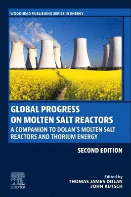 Global Progress on Molten Salt Reactors 1