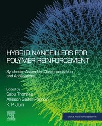 bokomslag Hybrid Nanofillers for Polymer Reinforcement
