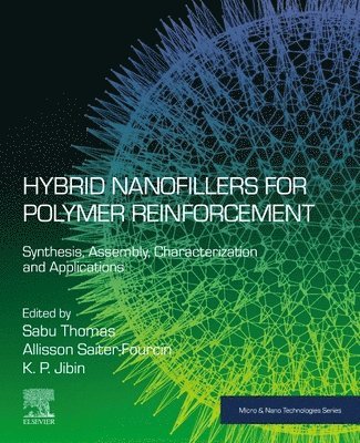 bokomslag Hybrid Nanofillers for Polymer Reinforcement