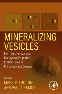 bokomslag Mineralizing Vesicles