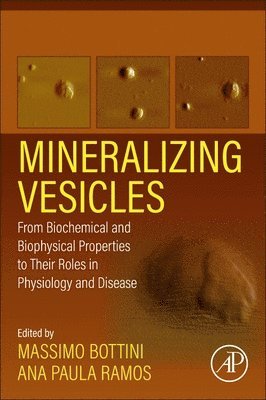 Mineralizing Vesicles 1