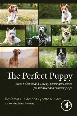 The Perfect Puppy 1