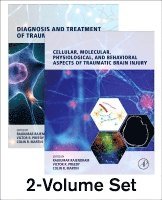 Rajkumar Rajendram, Victor R. Preedy, Colin R. Martin - The Neuroscience of Traumatic Brain Injury, Inbunden