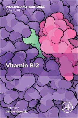 bokomslag Vitamin B12