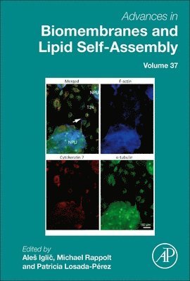 bokomslag Advances in Biomembranes and Lipid Self-Assembly