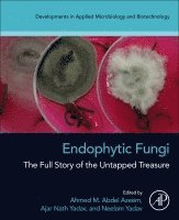 Ahmed M. Abdel Azeem, Ajar Nath Yadav, Neelam Yadav - Endophytic Fungi, Häftad