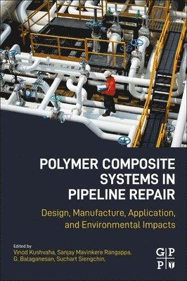 bokomslag Polymer Composite Systems in Pipeline Repair