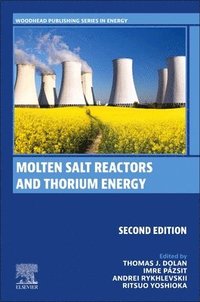 bokomslag Molten Salt Reactors and Thorium Energy