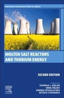 Thomas James Dolan, Imre Pazsit, Andrei Rykhlevskii, Ritsuo Yoshioka - Molten Salt Reactors and Thorium Energy, Häftad