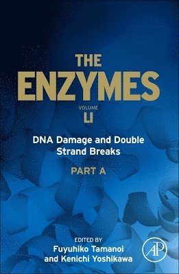 DNA Damage and Double Strand Breaks 1