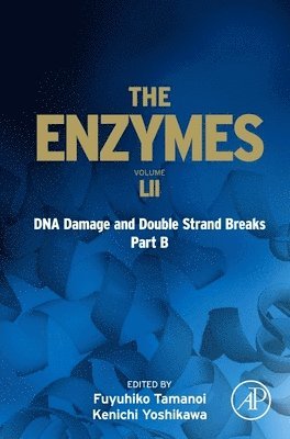 bokomslag DNA Damage and Double Strand Breaks Part B