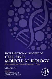 bokomslag Mitochondria and Bacterial Pathogens - Part A