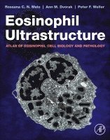 Rossana C.N. Melo, Ann M. Dvorak, Peter F. Weller - Eosinophil Ultrastructure, Inbunden