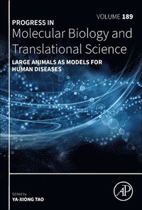 bokomslag Large Animals as Models for Human Diseases