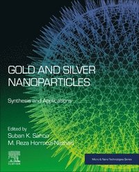 bokomslag Gold and Silver Nanoparticles