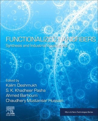 bokomslag Functionalized Nanofibers