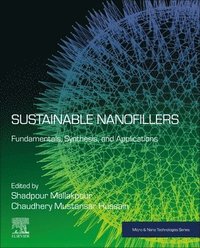 bokomslag Sustainable Nanofillers