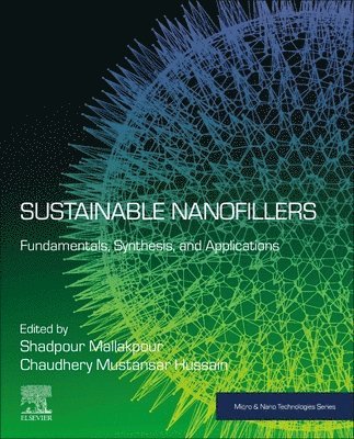 Shadpour Mallakpour, Chaudhery Mustansar Hussain - Sustainable Nanofillers, Häftad