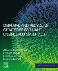 bokomslag Disposal and Recycling Strategies for Nano-engineered Materials