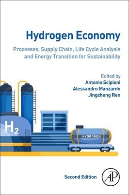 bokomslag Hydrogen Economy