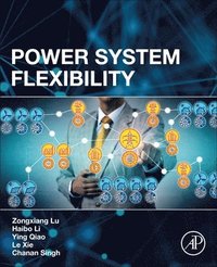 bokomslag Power System Flexibility