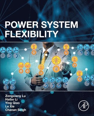 bokomslag Power System Flexibility