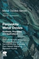 Srikanta Moharana, Tanmaya Badapanda, Santosh Kumar Satpathy, Ram Naresh Mahaling, Rajneesh Kumar - Perovskite Metal Oxides, Häftad