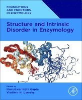 Munishwar Nath Gupta, Vladimir N. Uversky - Structure and Intrinsic Disorder in Enzymology, Häftad